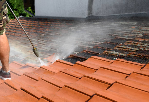 Best House Pressure Washing  in Capac, MI