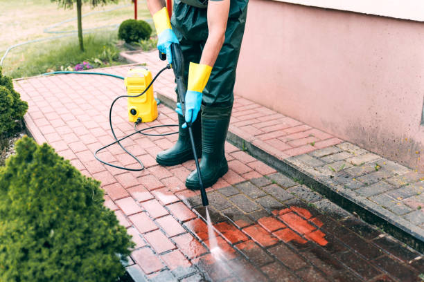 Pressure Washing Contractors in Capac, MI