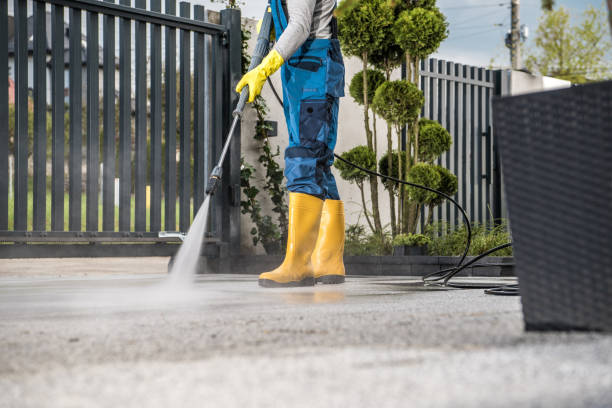 Deck Cleaning Services in Capac, MI