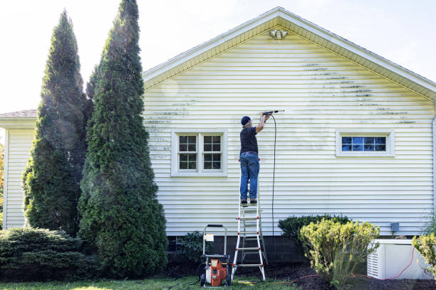 Best Exterior Home Cleaning  in Capac, MI