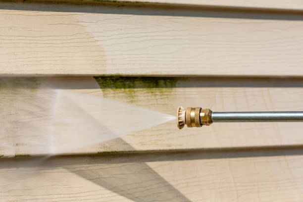 Best Affordable Pressure Washing  in Capac, MI