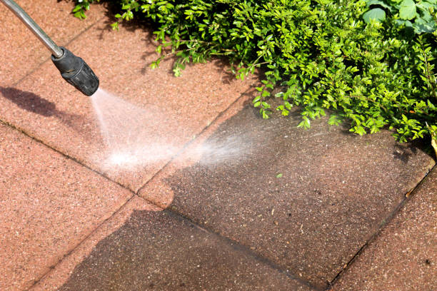 Best Local Pressure Washing Services  in Capac, MI